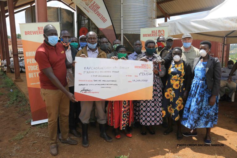 Nile Breweries Crop Insurance Scheme; Pays off Barley